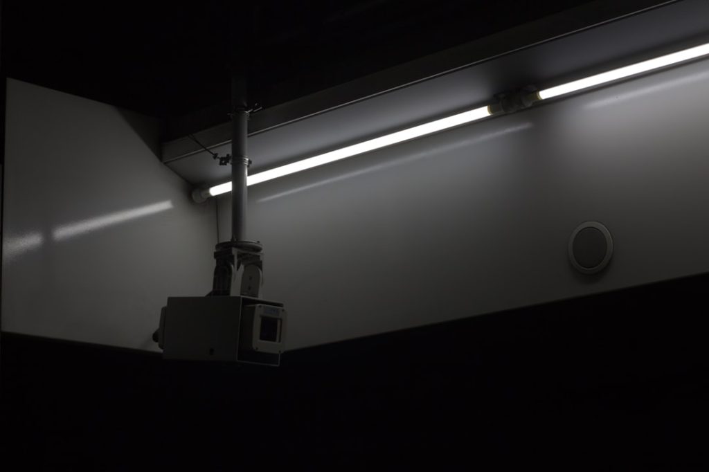 Is Octopus Software Safe? What Users Need to Know - Football Toast